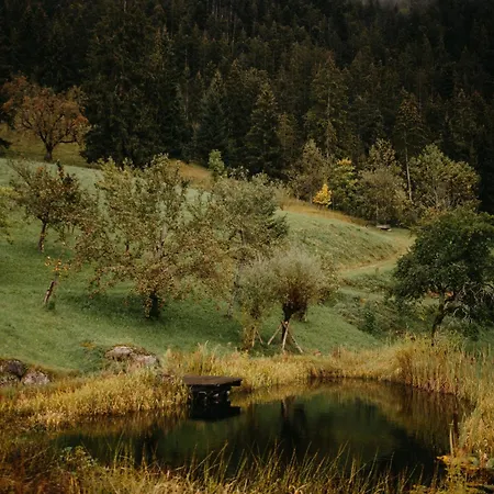 Apartment Hoerndlhof *