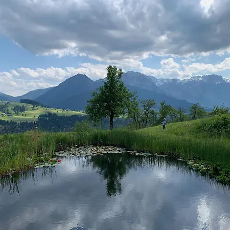 Hoerndlhof Apartment *