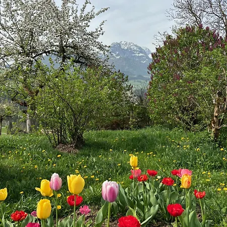 Hoerndlhof アパート *