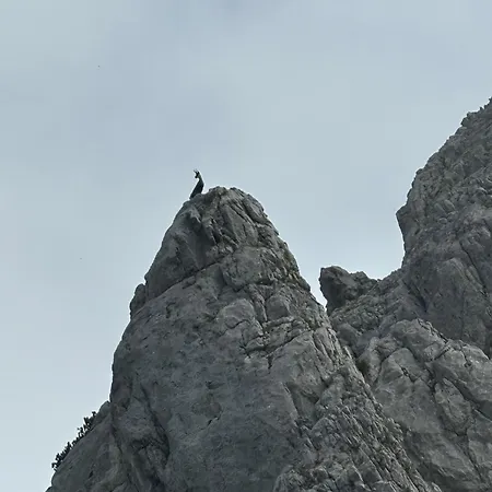 Hoerndlhof Apartment