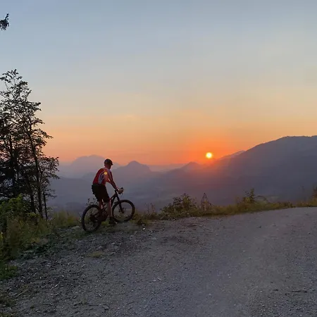 Hoerndlhof アパート アプテナウ