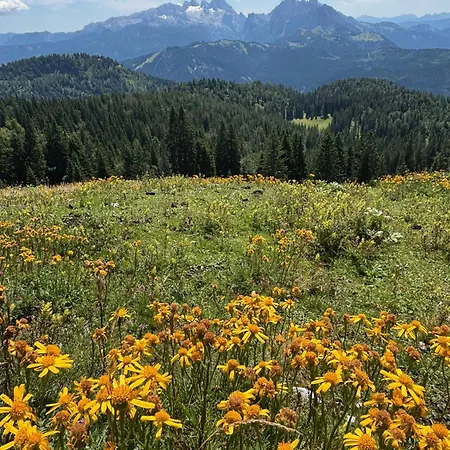 Hoerndlhof アプテナウ