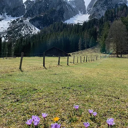 アパート Hoerndlhof