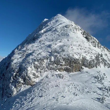 Hoerndlhof Apartment Abtenau