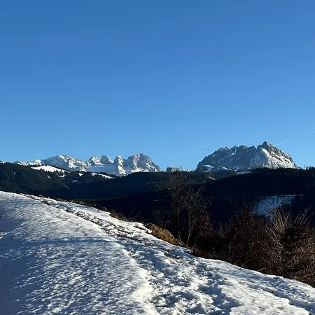 Hoerndlhof アパート