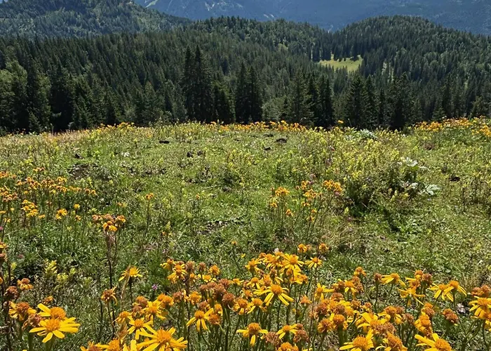 Hoerndlhof أبتيناو